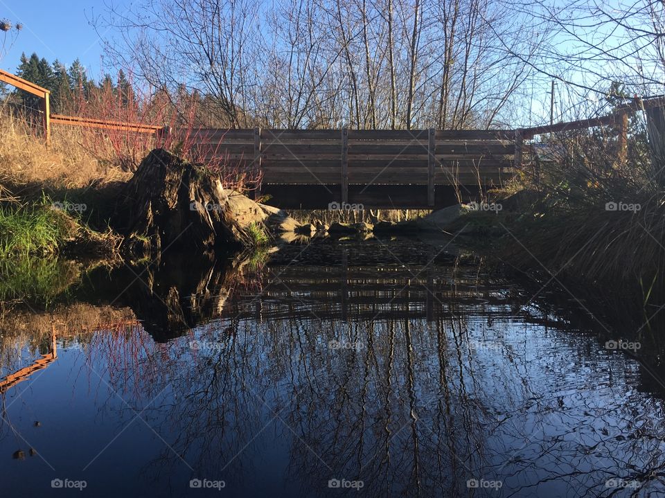 Fish Park Reflections, Poulsbo, Washington 