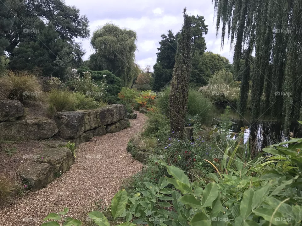 English garden path 