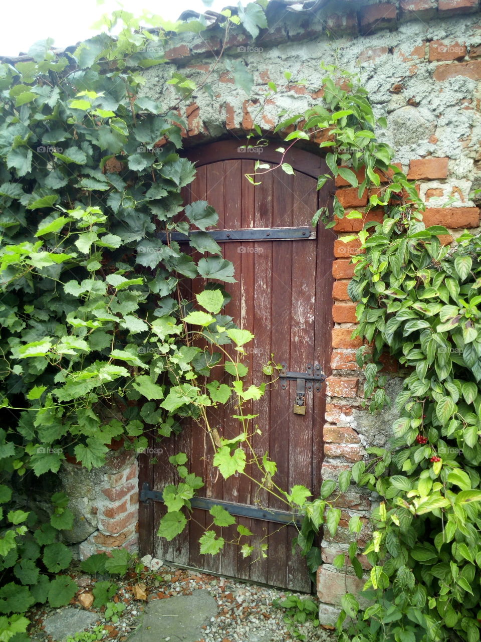 Garden secret doors.