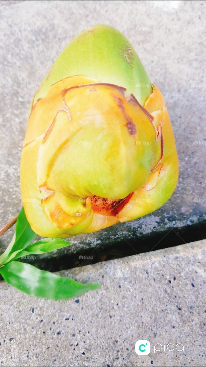 Pottery and Ceramics green leaf