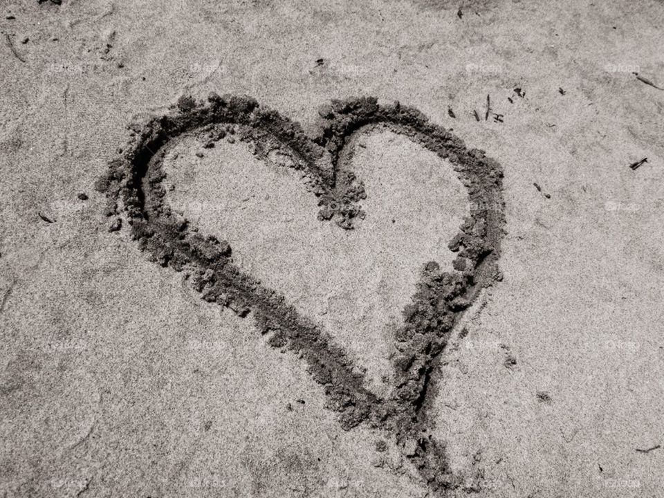 Love is Everywhere #2