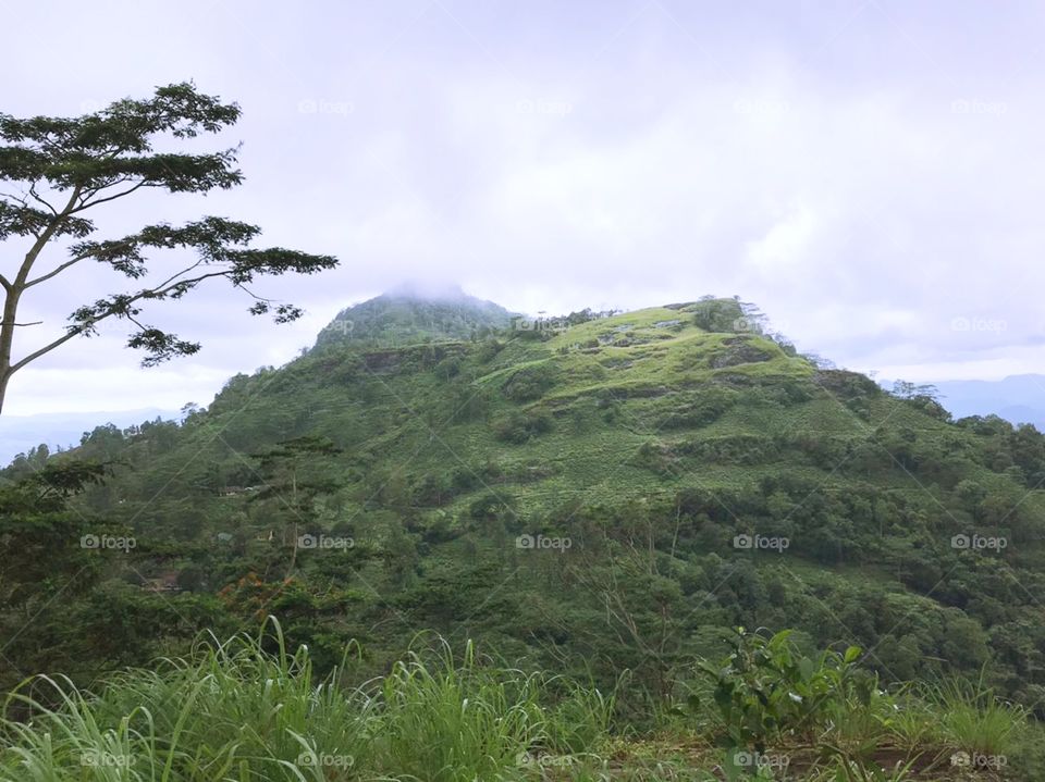 Landscape of hillside in Sri Lanka 