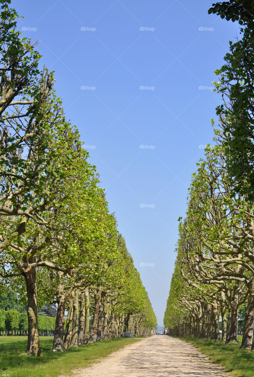 Nice park near Paris 