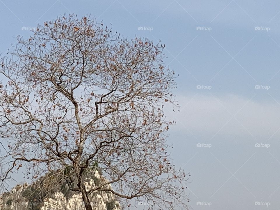 Shape of the nature, Countryside ( Thailand)