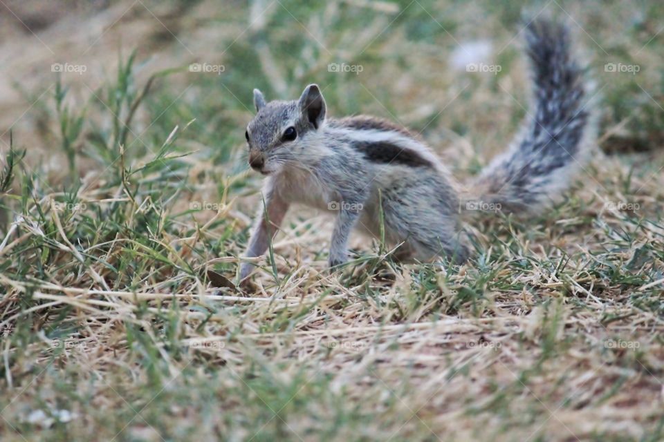 Qutub Minar #14. Qutub Minar, New Delhi, India