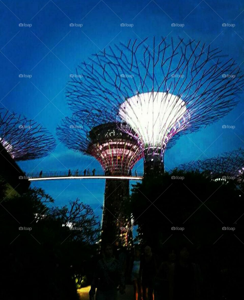 Gardens by the Bay-SG