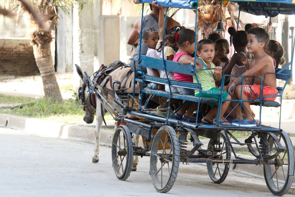 Cuban People.Donkey cart
