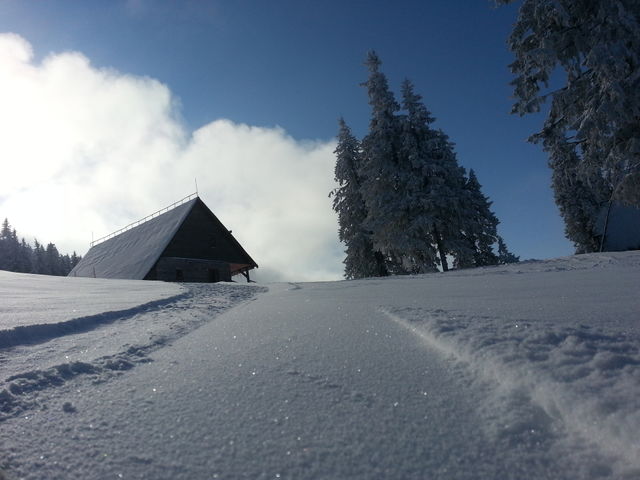 Amazing winter