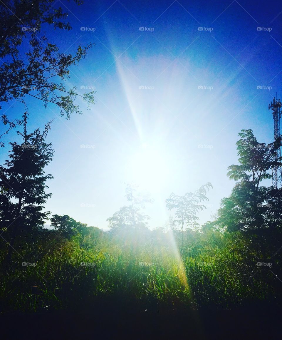 ☀️#Sol muito bonito de #natureza indescritível!
Obrigado, dona #MãeTerra.
🌱
#inspiração #amanhecer #morning #fotografia #paisagem #sun #céu #landscapes