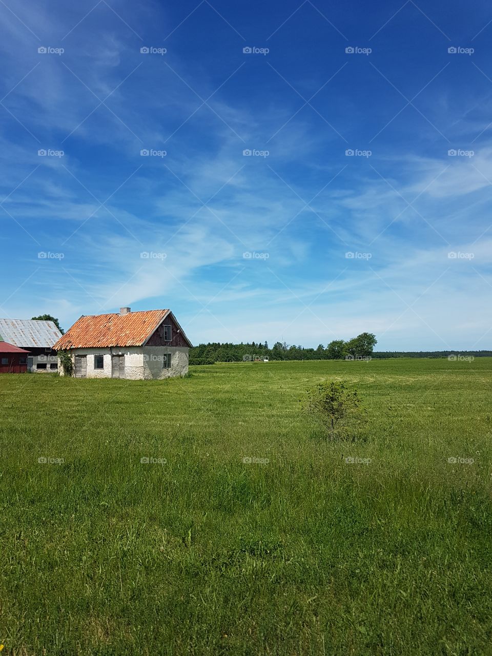 peaceful countryside