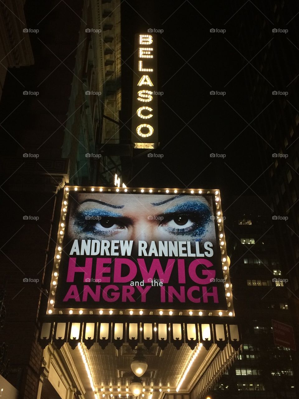 Hedwig 