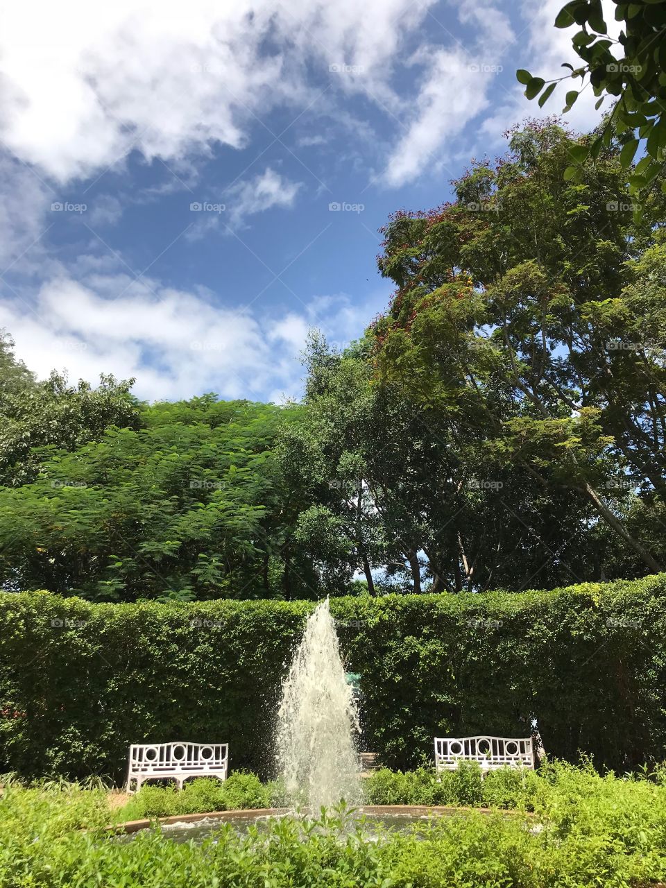 The fountain in park