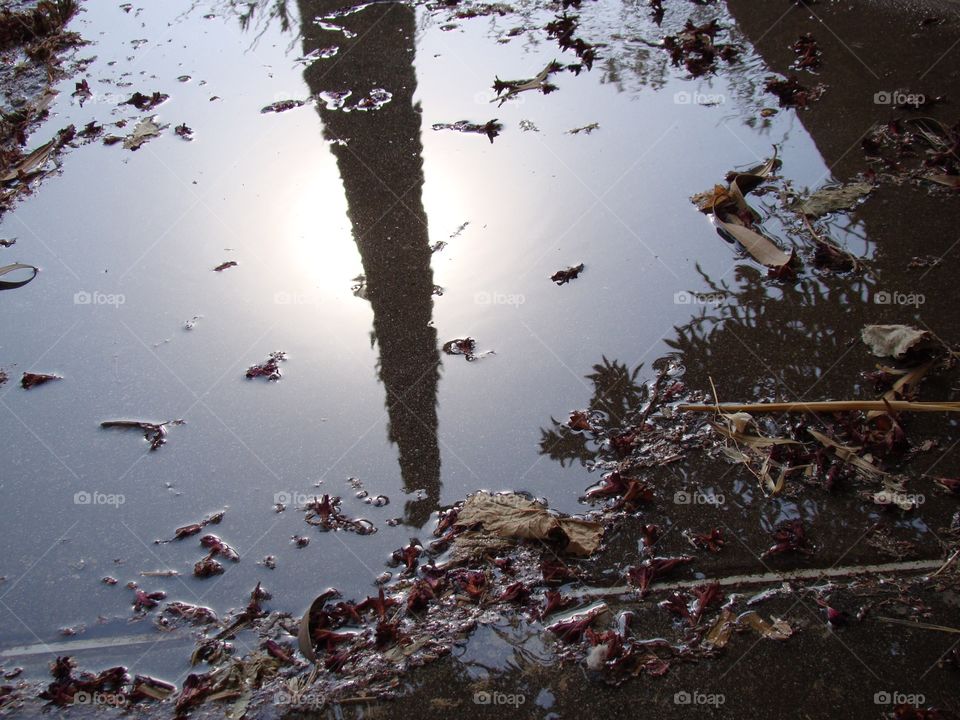 Water puddle