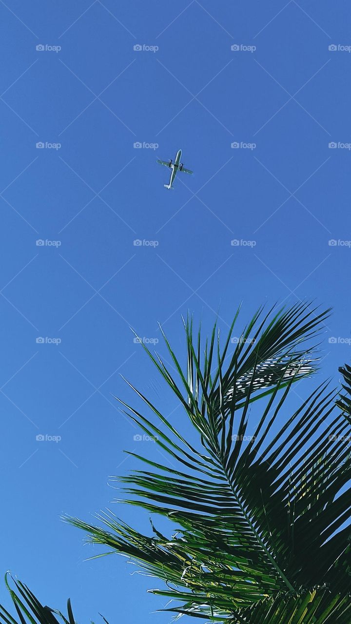 Beautifull sky and plane