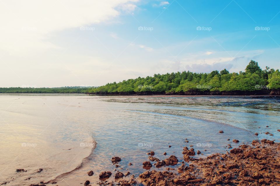 Scenic landscape from sea side
