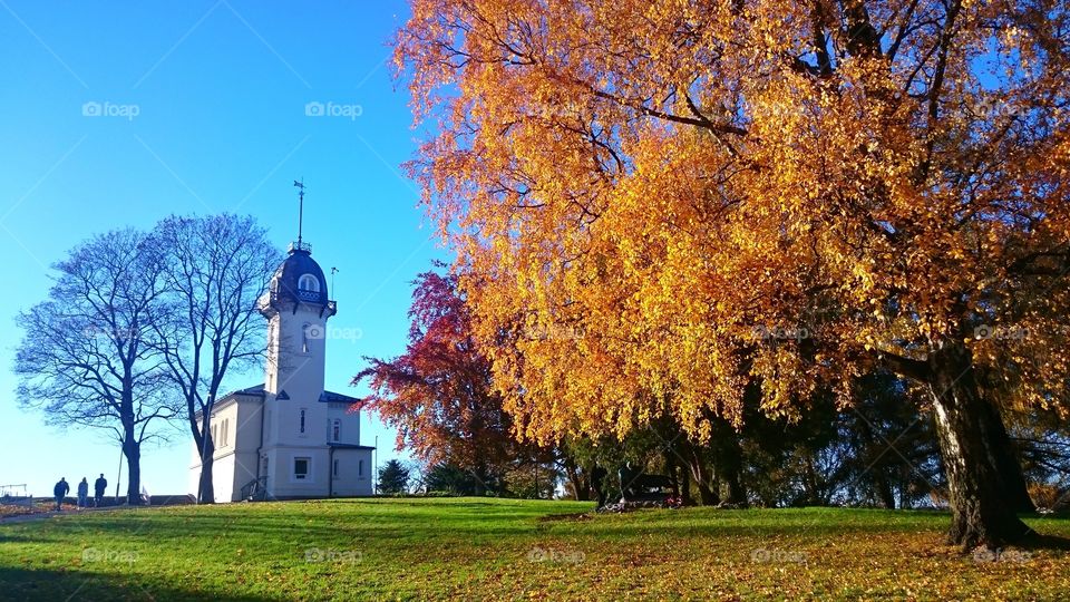 Autumn