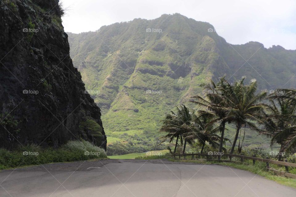 Hawaiian Volcanic Landscape
