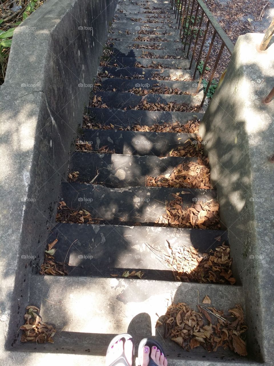 A flight of old stairs at an old abandoned mansion