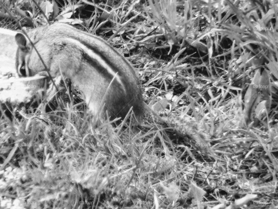 opportunity knocks dive right in