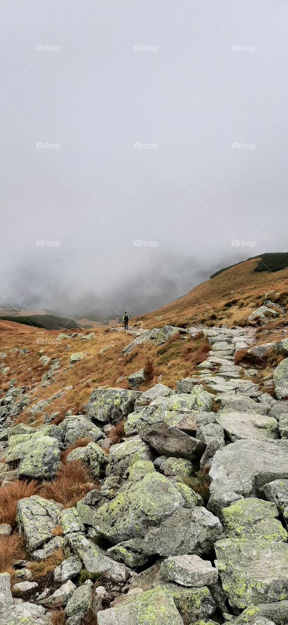misty path in the mountains