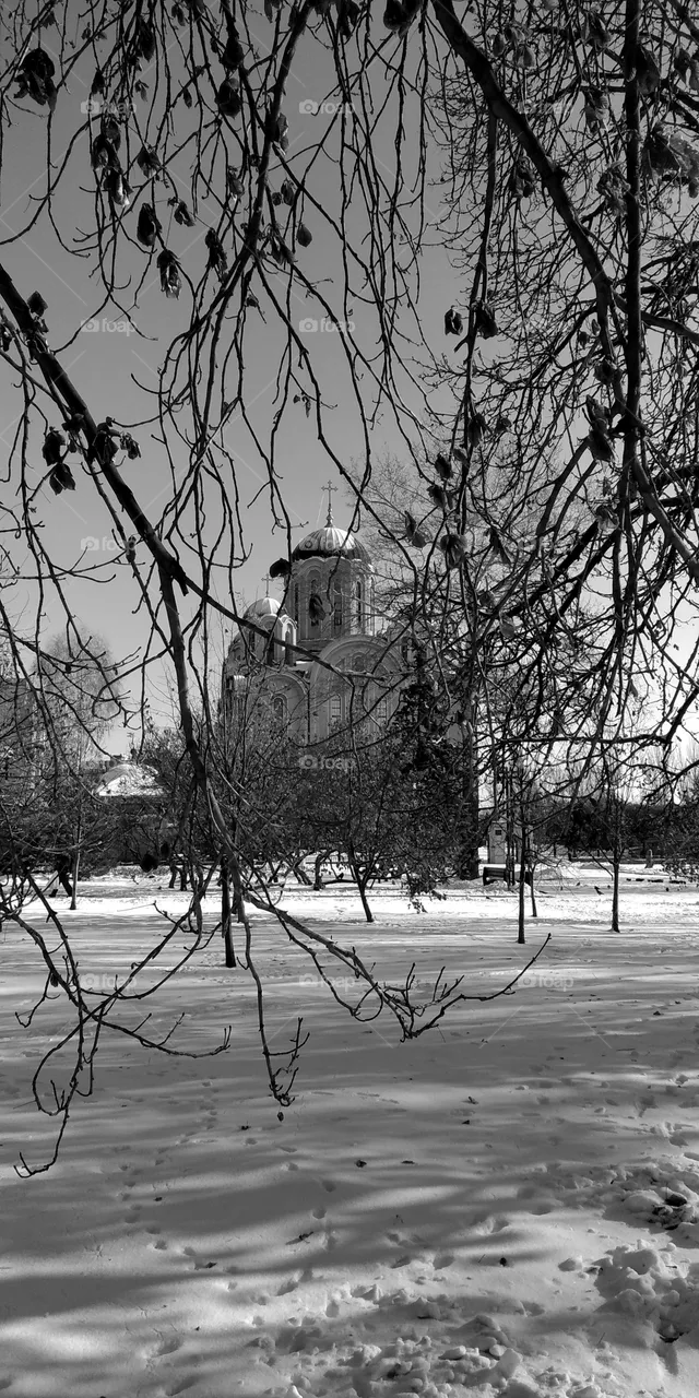 Winter