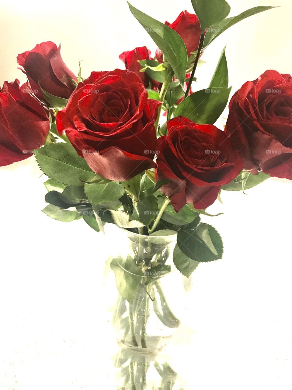 Beautiful red roses 
