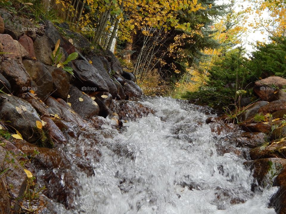 stream autumn or fall