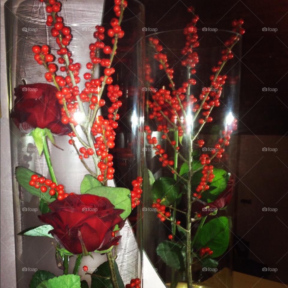 sweden flower red roses by pebsan