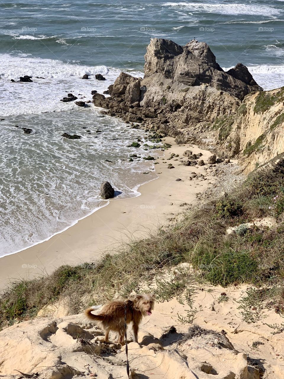 A rock jutting out into the sea, known locally as Castelo/Leão (depending on the viewing point) separates the beaches of Paredes da Vitória and Polvoeira.