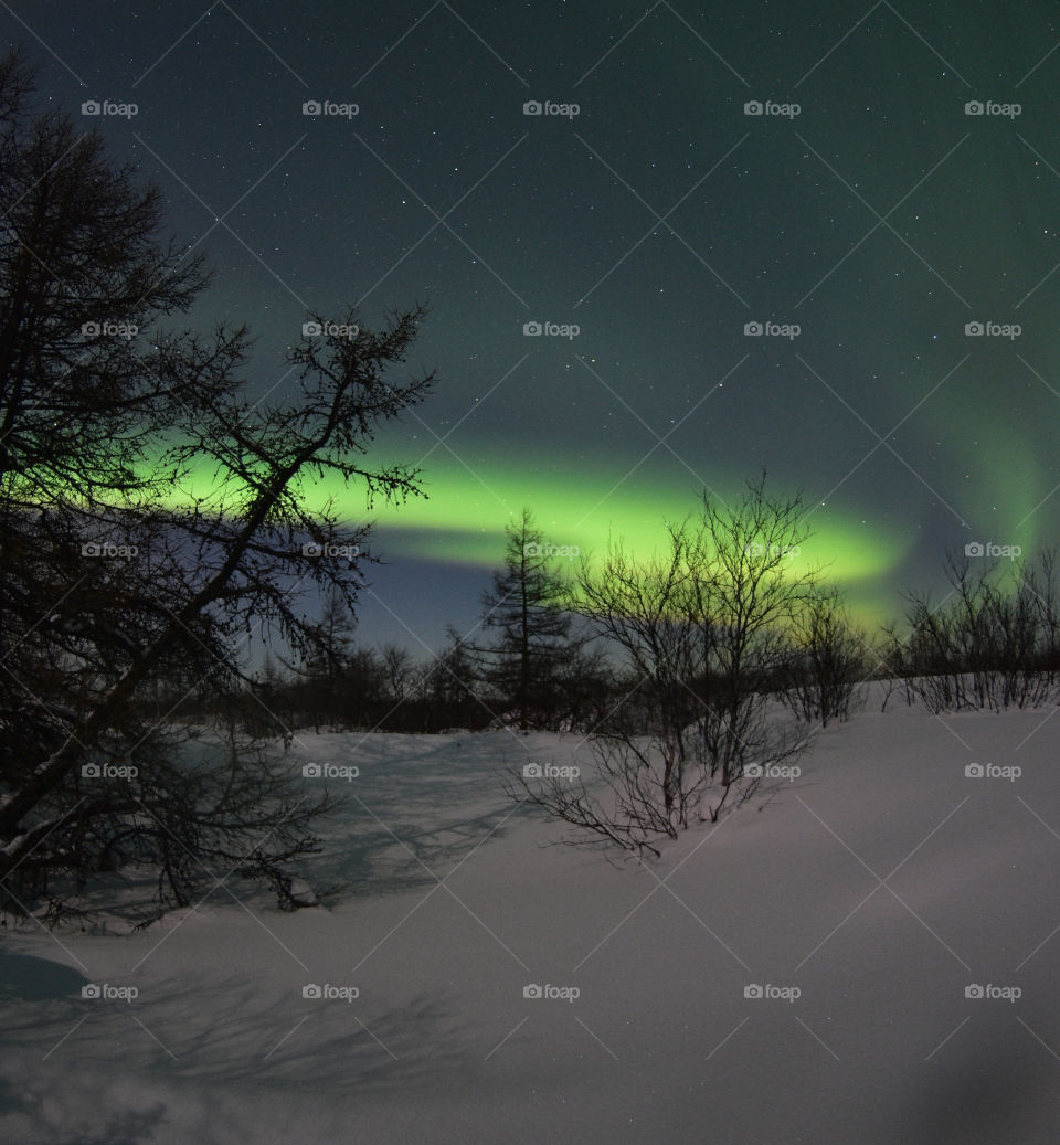 Night, aurora borealis, north, night north, polar region, night polar region, northern lights, stars, frost, frosty night, breath, cold, new year, Santa claus, northern santa claus, travel, night walk, shining sky, flashes, tundra, forest,