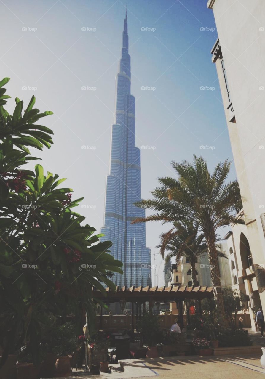 Urban garden in Dubai 