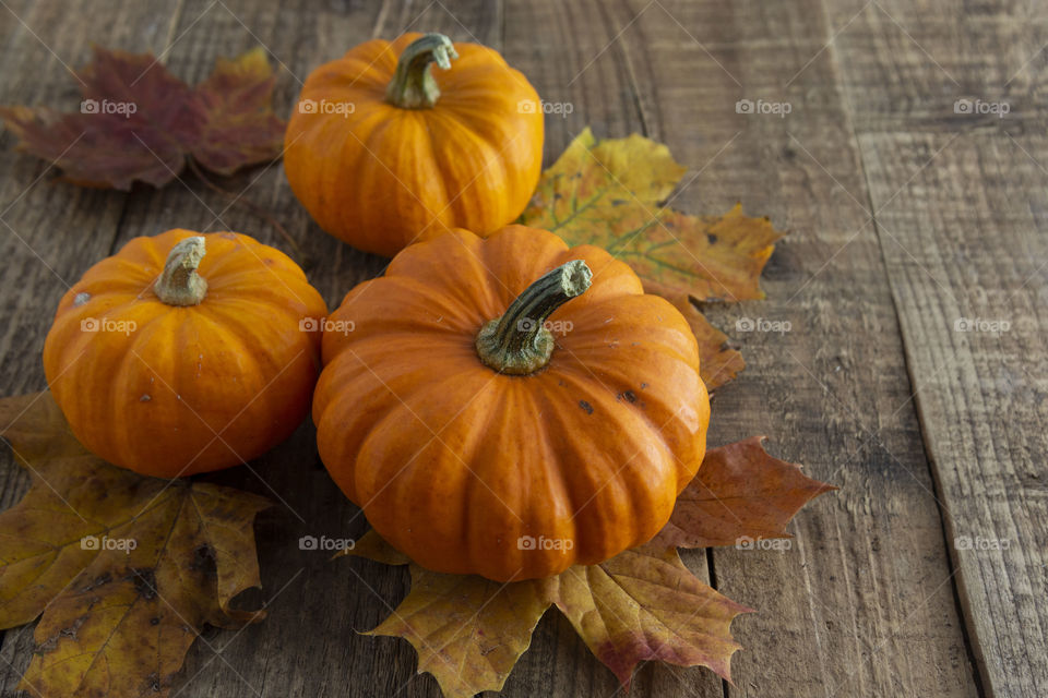 Orange pumpkins. Autumn background. Rustic wooden board. Fall mood.