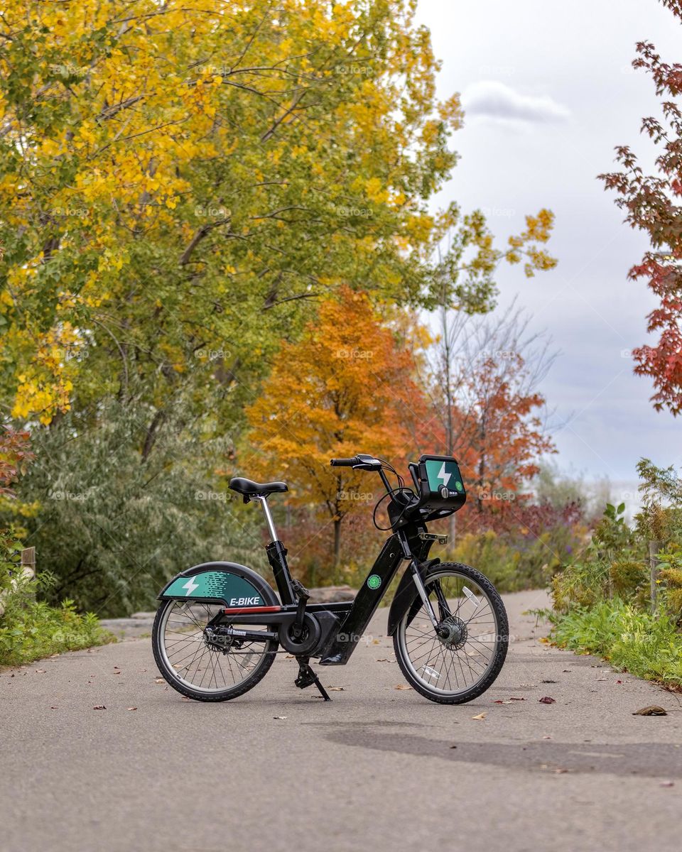 Lone city bike outside in a park surrounded by colorful fall foliage