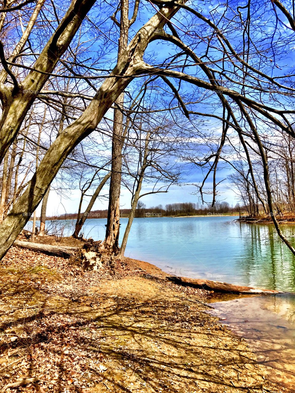 Beautiful hiking view in summit lake state park in Indiana 