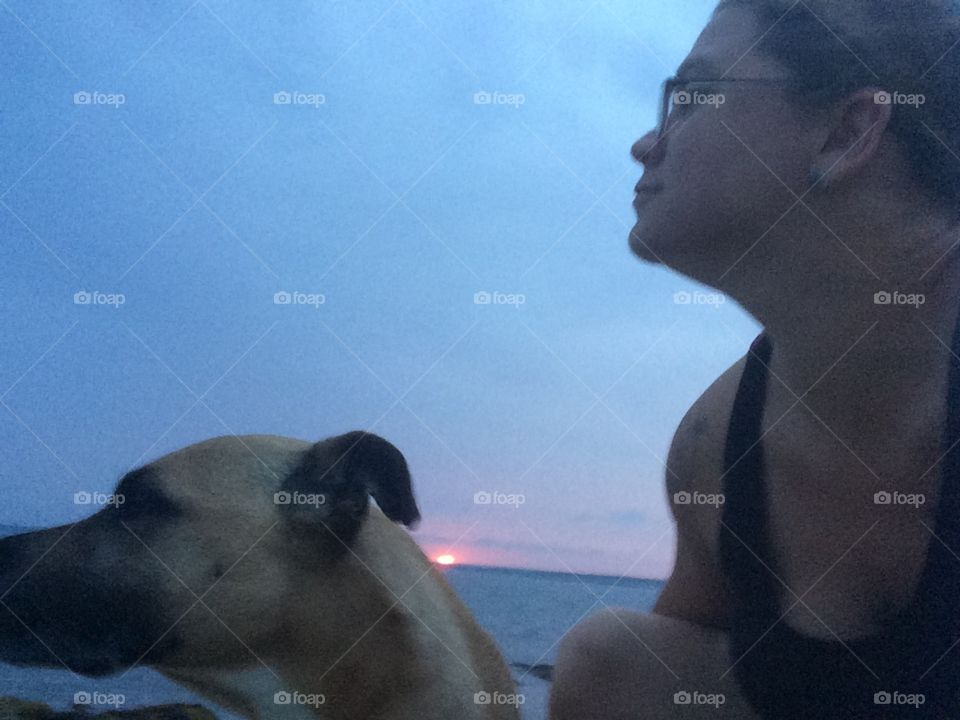 Dog sunset 