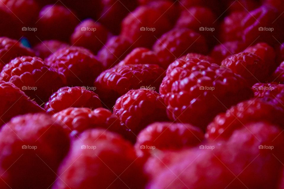 Closeup of fresh raspberries in natural light 