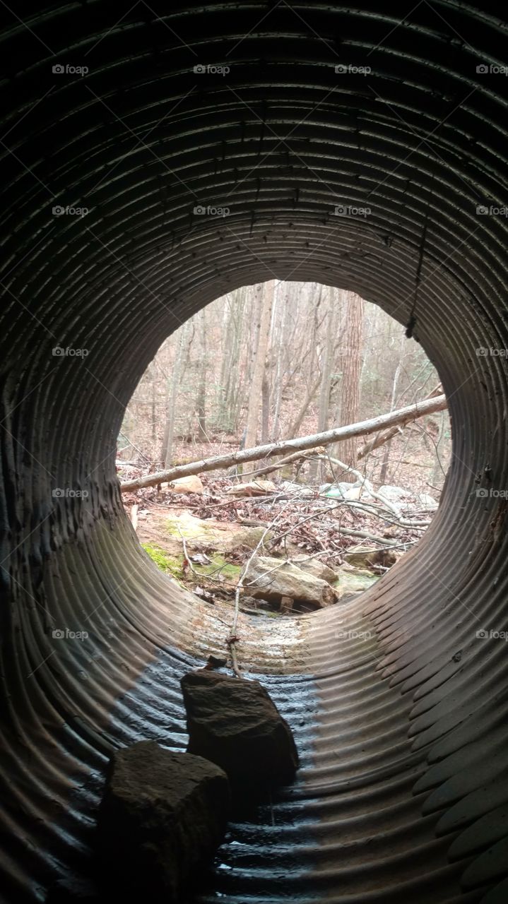 No Person, Outdoors, Wood, Industry, Tree