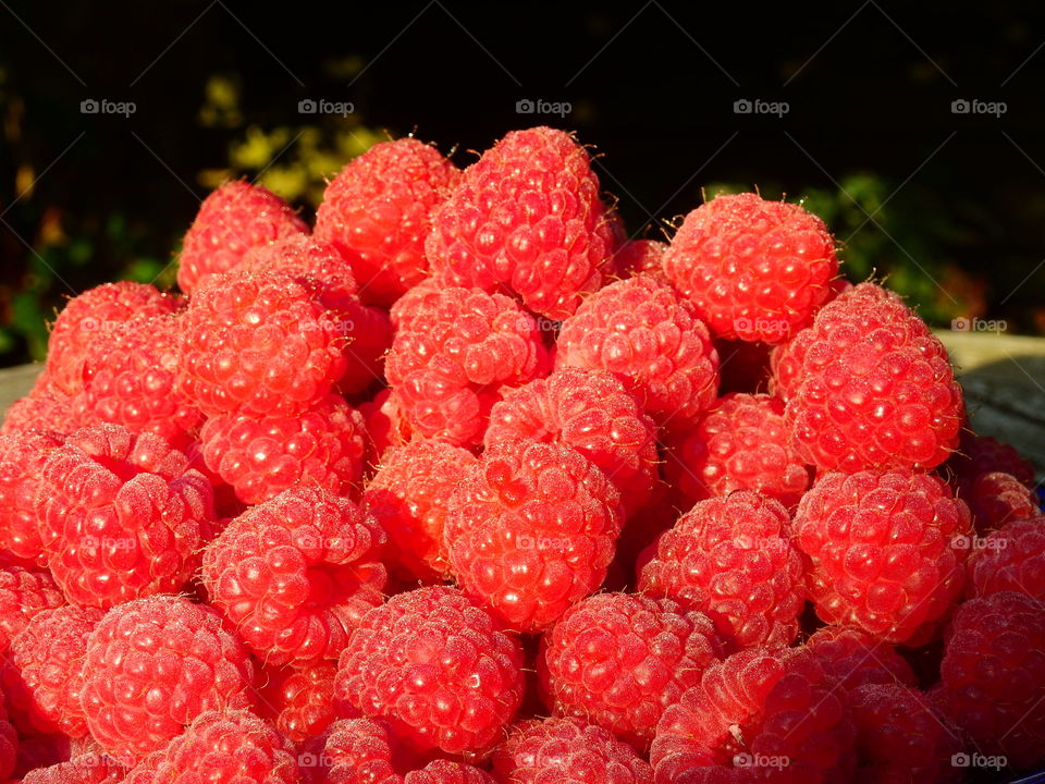 Raspberries close-up