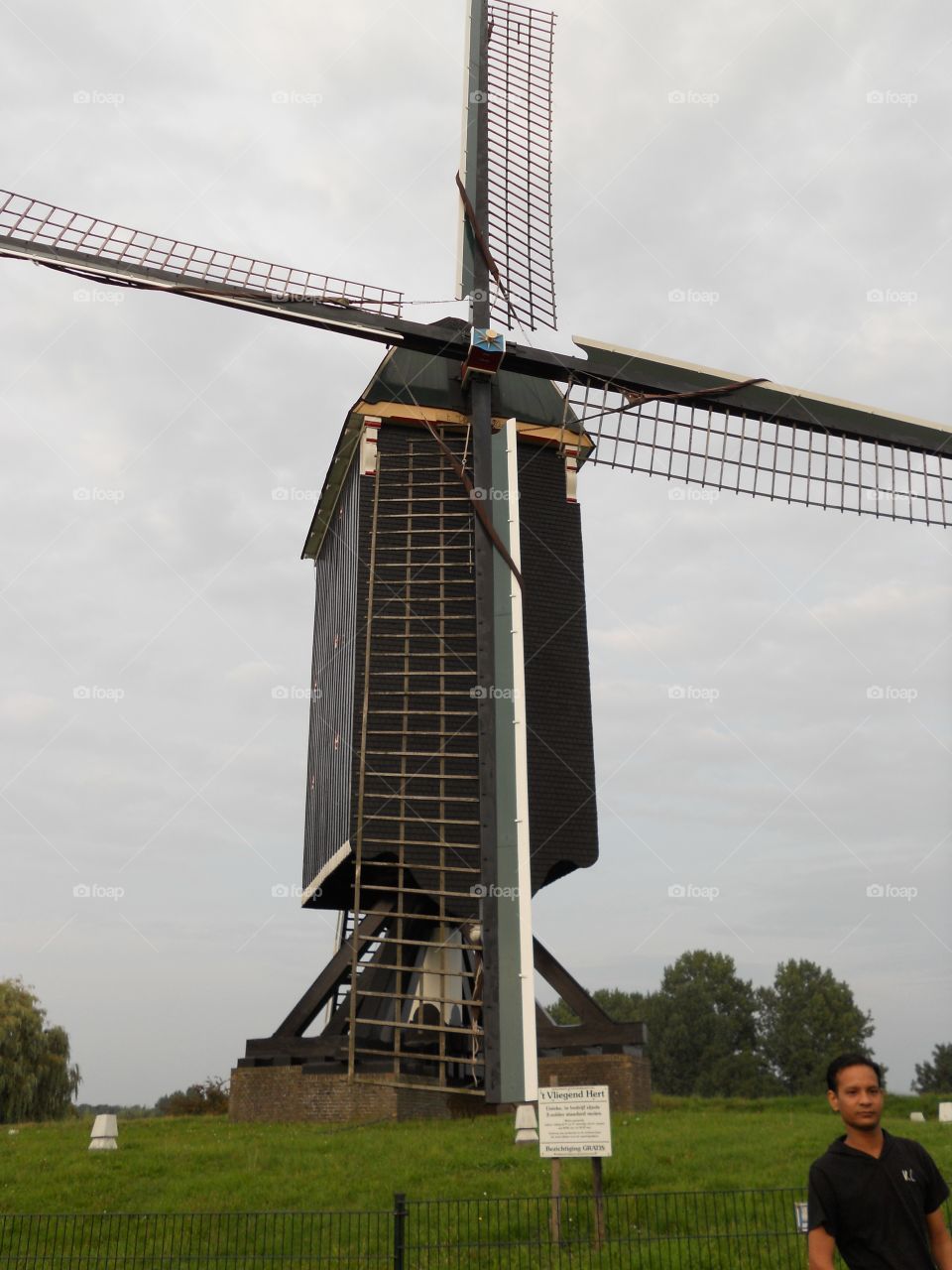 # Windmill# power generator# Holland# Rotterdam# Outdoor# greenery#