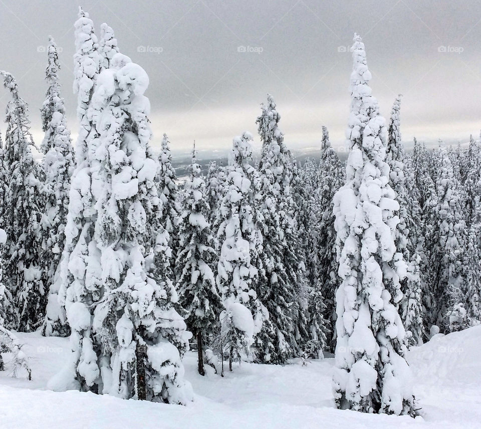 Winter, Dalarna, Sweden
