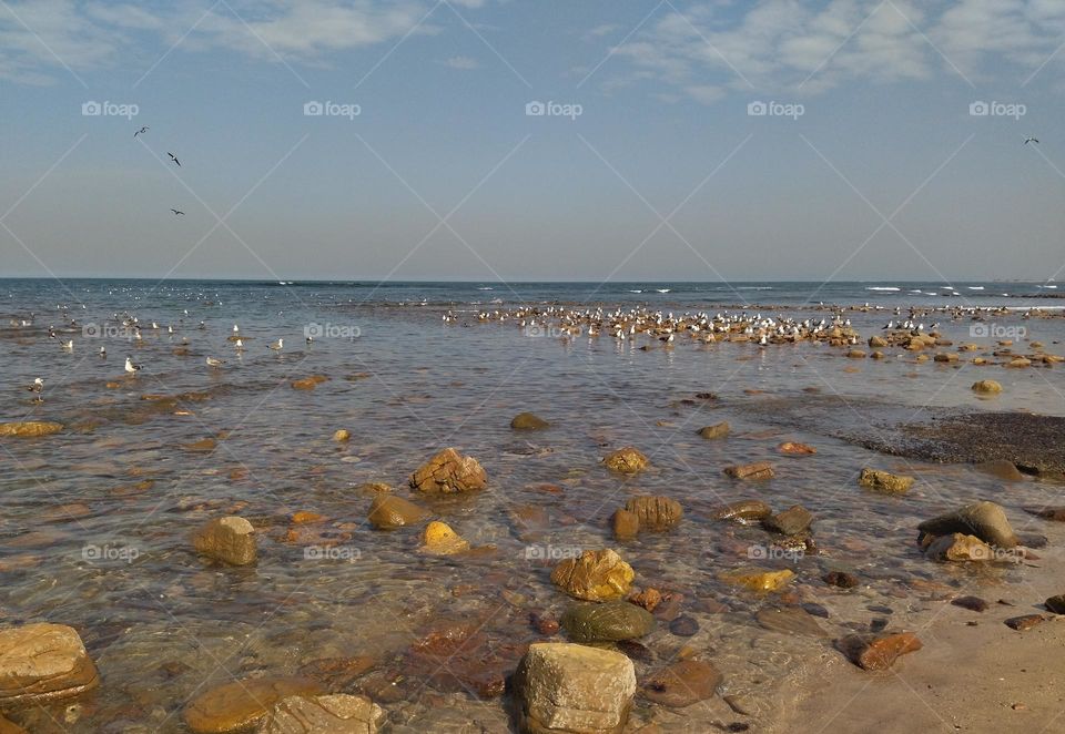 the better place to be in the beach