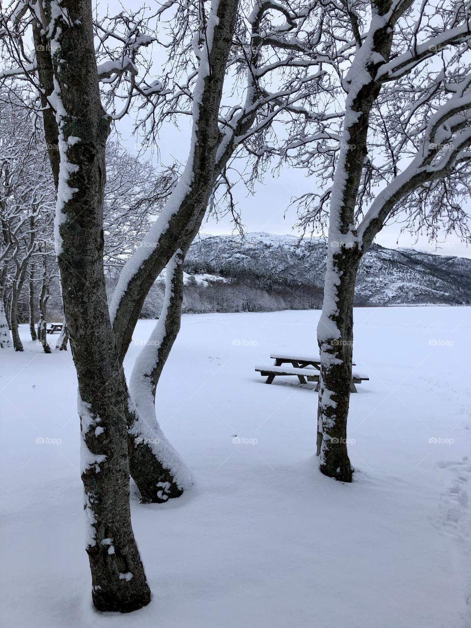 Winter in Norway