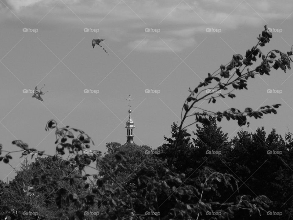 Air serpent in sky above a church, summer, Kiev, Pecherskiy botanical garden