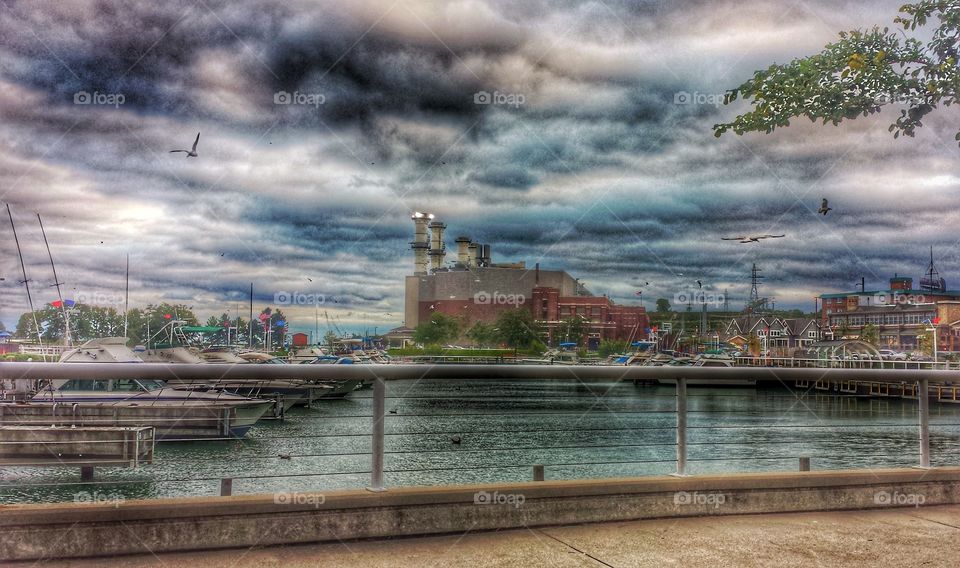 Seagulls Over the Harbor