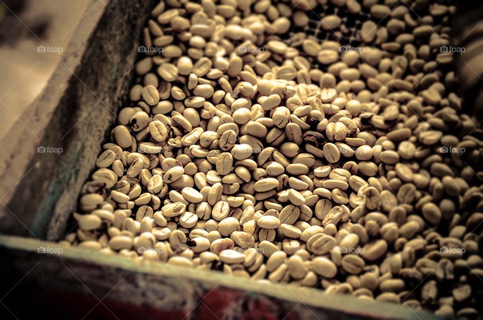 Coffee Beans