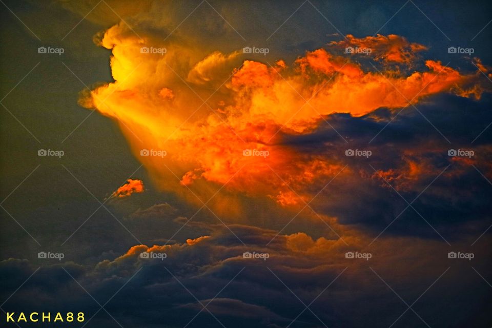 Oil painting (photo)