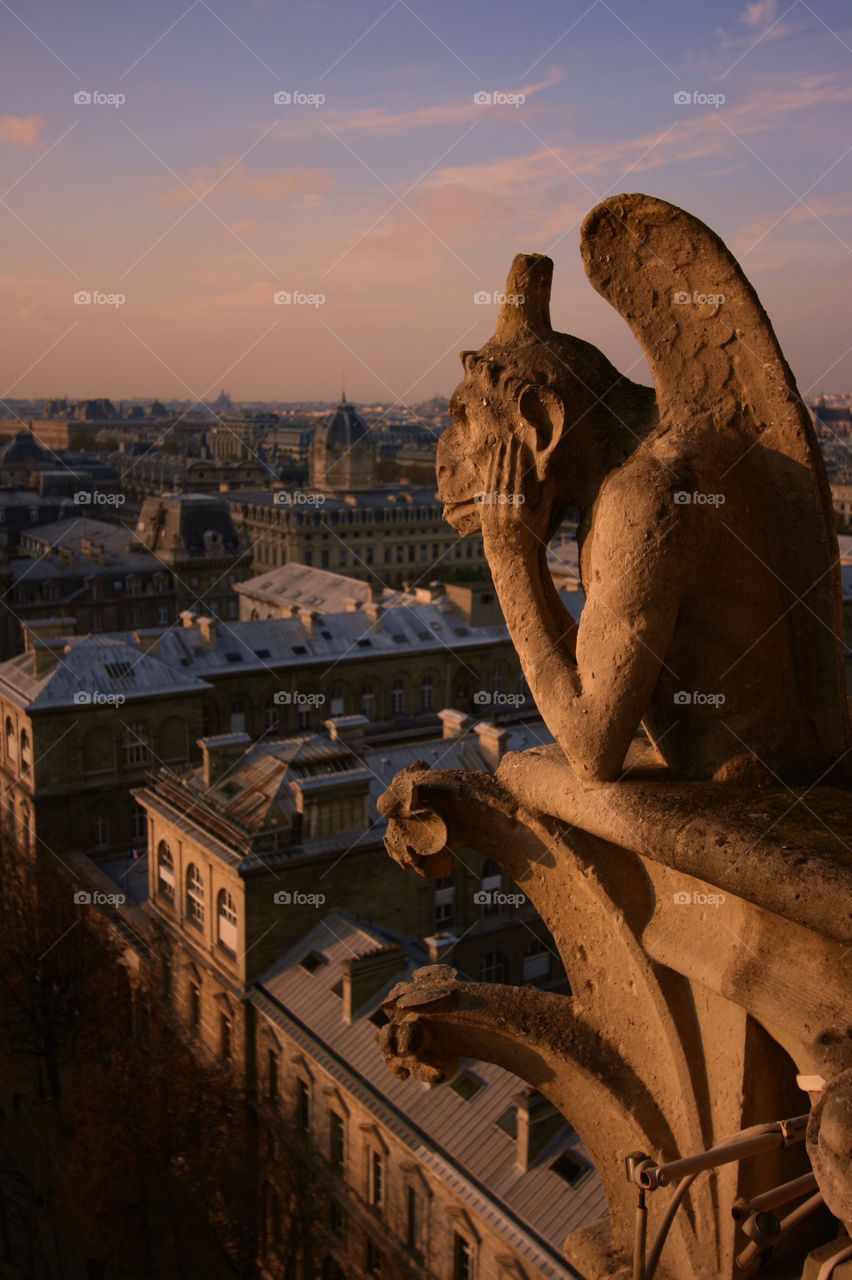 Keeping watch over Paris