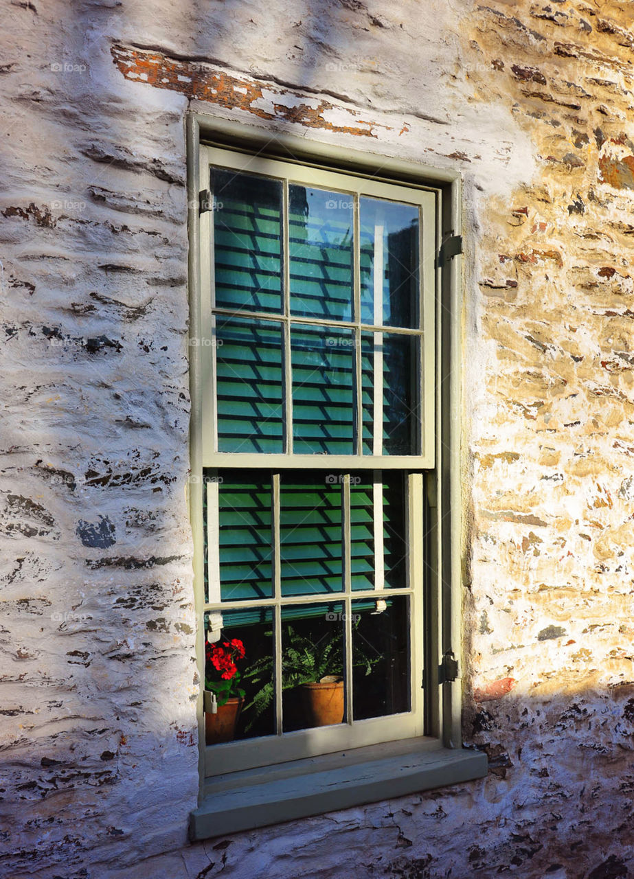 old window. window with blinds and plants