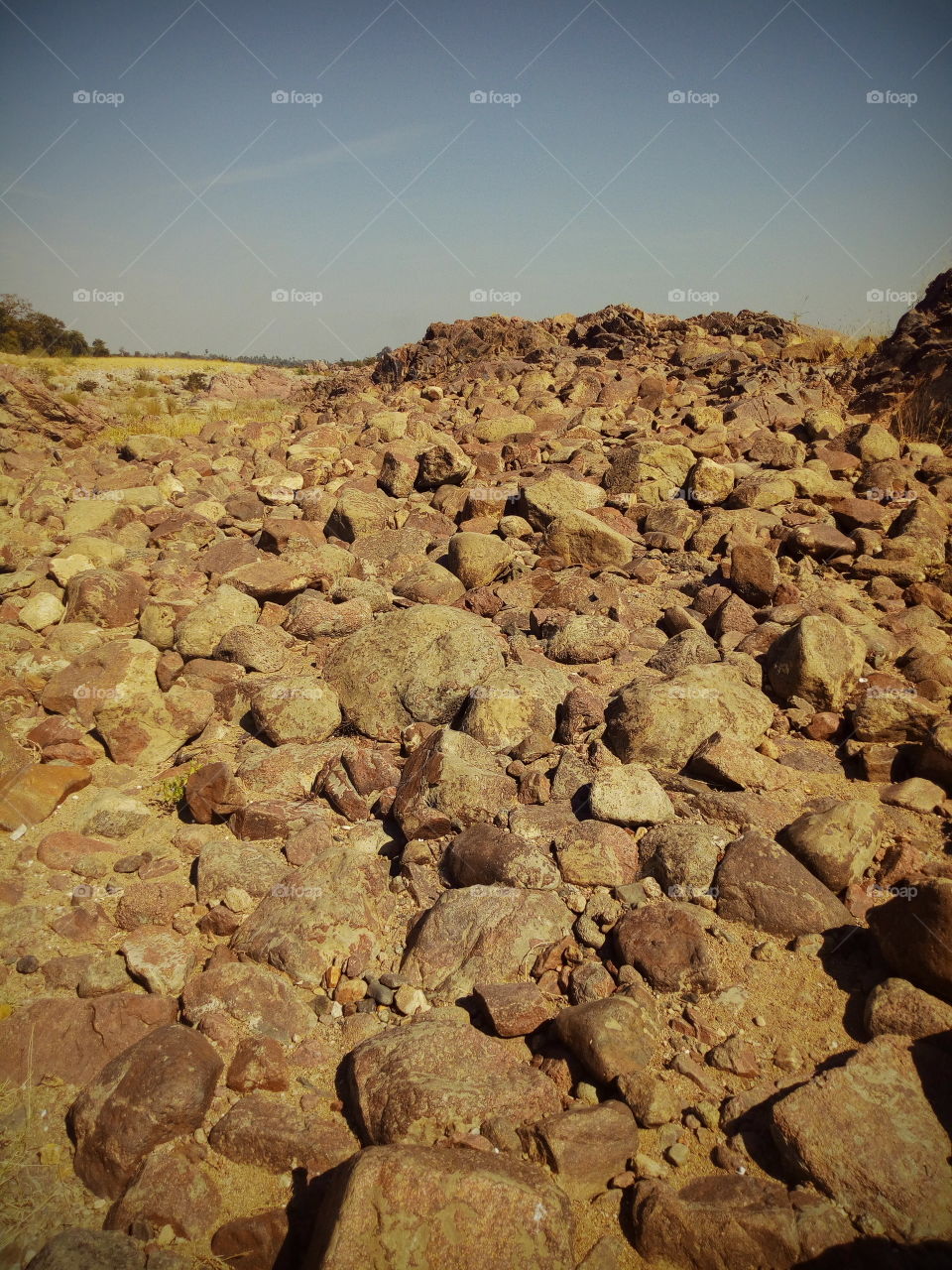 rocks