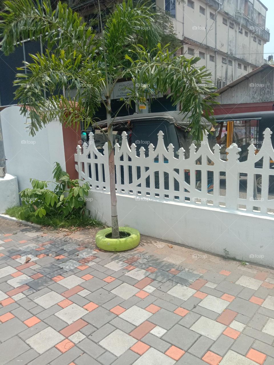 Taller than me😏❤️🧿. More suggestions for planting Ideas???